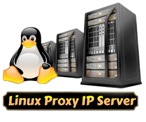 vps image